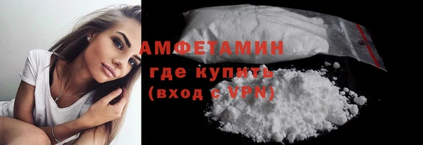 PSILOCYBIN Горняк