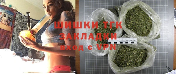 PSILOCYBIN Горняк