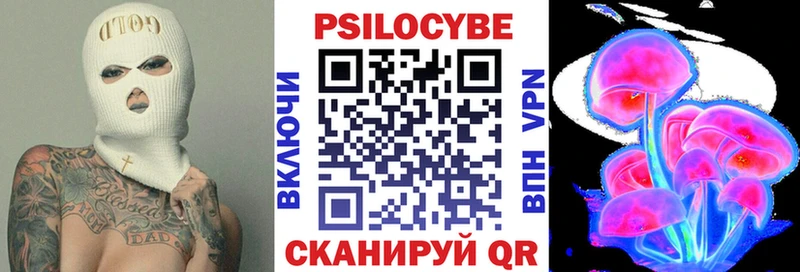 Псилоцибиновые грибы Cubensis  Чулым 