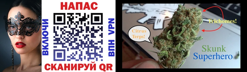 Бошки Шишки Bruce Banner  KRAKEN ссылки  Чулым 